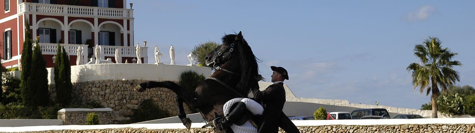 Son Granot Hotel Es Castell  Bagian luar foto